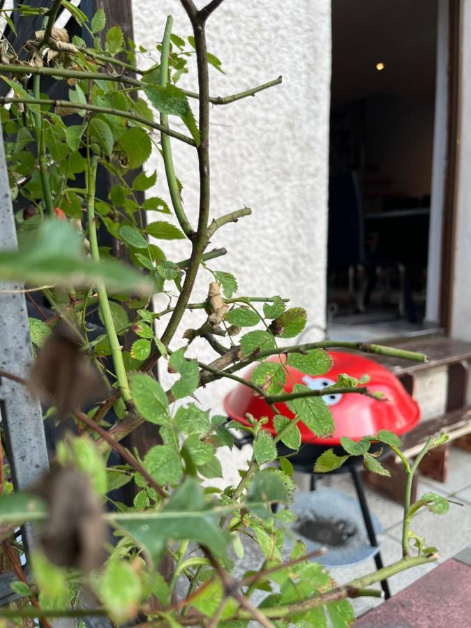 Alpina Haus Daire Oberammergau Dış mekan fotoğraf